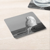 Snowy Owl Onderzetter (Schuin)