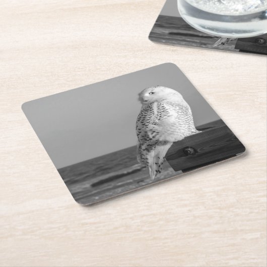 Snowy Owl Onderzetter (Schuin)