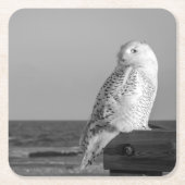 Snowy Owl Onderzetter (Voorkant)