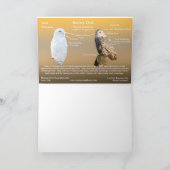 Snowy Owl op een boomstam Kaart (Binnen)