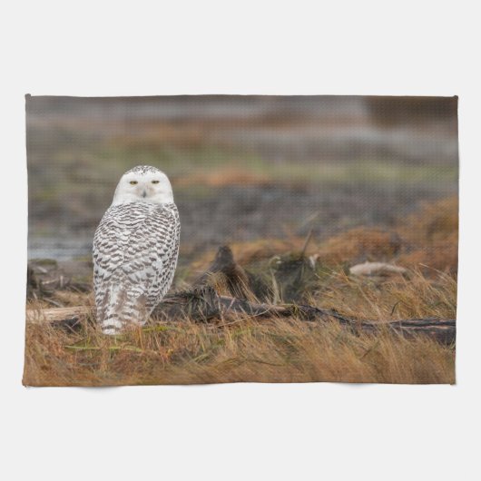 Snowy Owl op een logboek Theedoek (Horizontaal)