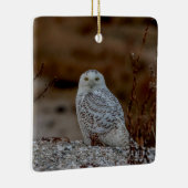Snowy owl op een rots keramisch ornament (Rechts)