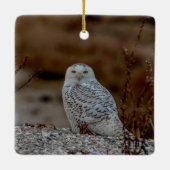 Snowy owl op een rots keramisch ornament (Achterkant)