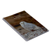 Snowy owl op een rots notitieboek (Rechterzijde)