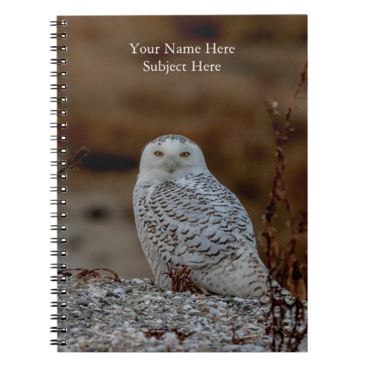 Snowy owl op een rots notitieboek (Voorkant)