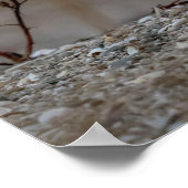 Snowy owl op een rots poster (Hoek)