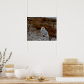 Snowy owl op een rots poster (Keuken)