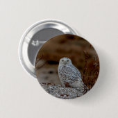 Snowy owl op een rots ronde button 5,7 cm (Voorkant /achterkant)