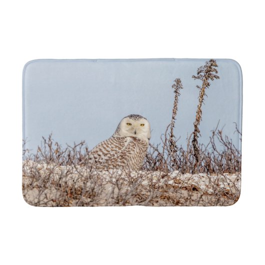 Snowy owl op het strand badmat (Voorkant)