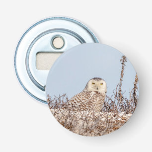 Snowy owl op het strand button flesopener