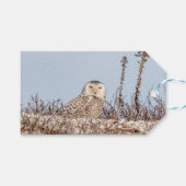 Snowy owl op het strand cadeaulabel (Voorkant (Horizontaal))