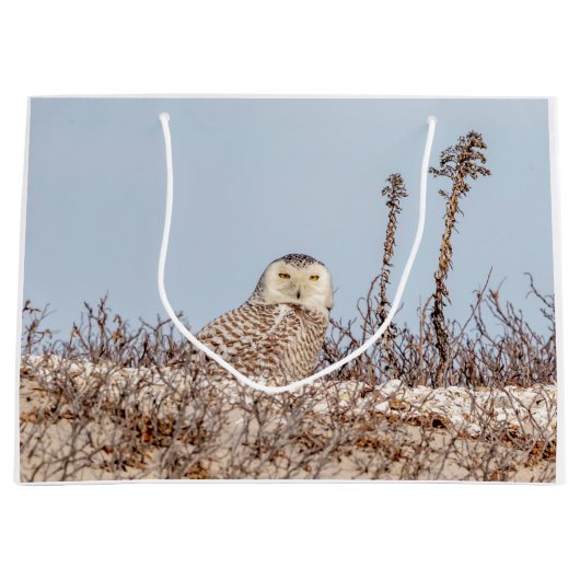 Snowy owl op het strand groot cadeauzakje (Voorkant)