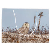 Snowy owl op het strand groot cadeauzakje (Achterkant)