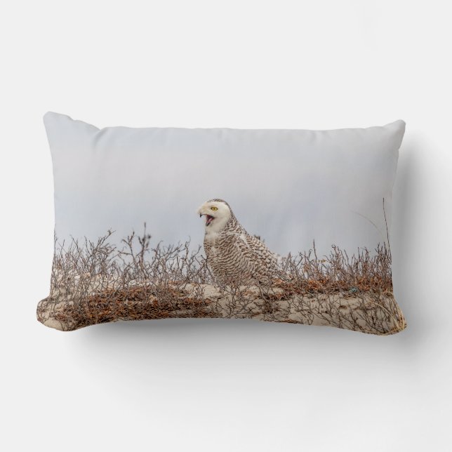 Snowy owl op het strand kussen (Voorkant)