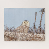 Snowy owl op het strand legpuzzel (Horizontaal)
