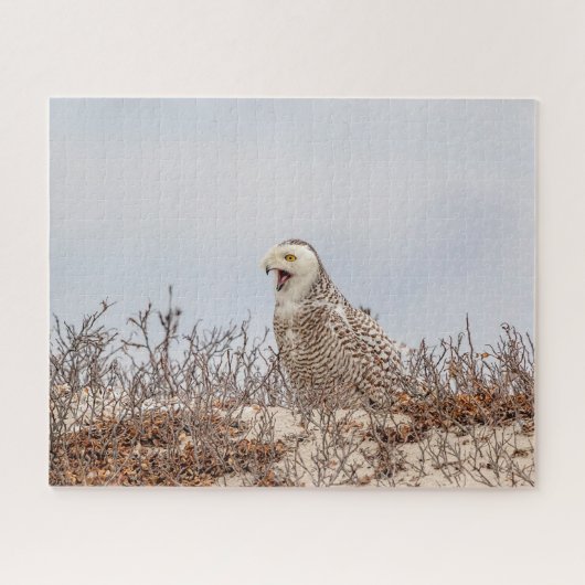 Snowy owl op het strand legpuzzel (Horizontaal)
