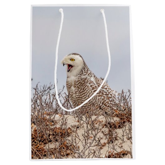 Snowy owl op het strand medium cadeauzakje (Voorkant)