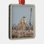 Snowy owl op het strand metalen ornament (Rechts)