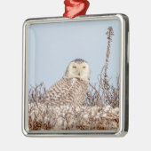 Snowy owl op het strand metalen ornament (Links)