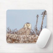 Snowy owl op het strand muismat (Met muis)