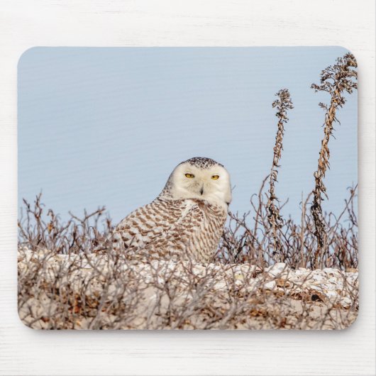 Snowy owl op het strand muismat (Voorkant)
