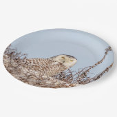 Snowy owl op het strand papieren bordje (Gekanteld)