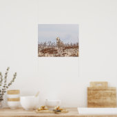 Snowy owl op het strand poster (Keuken)