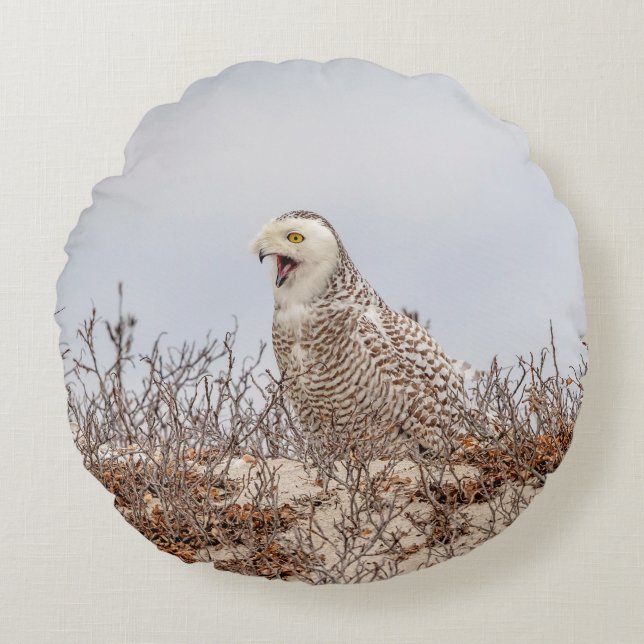 Snowy owl op het strand rond kussen (Voorkant)