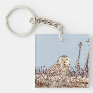Snowy owl op het strand sleutelhanger