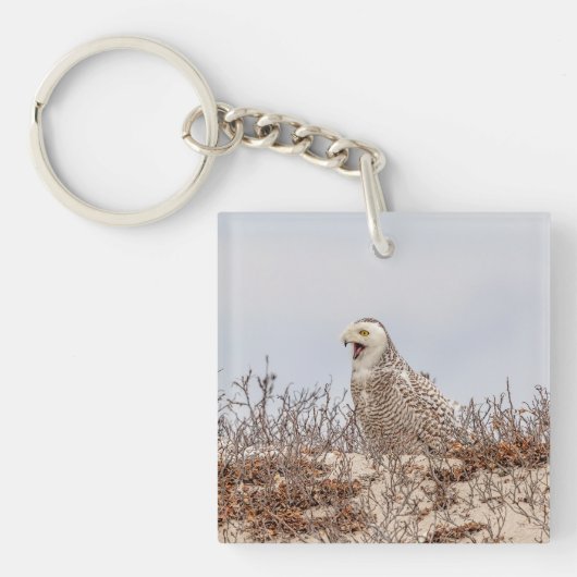 Snowy owl op het strand sleutelhanger (Voorkant)