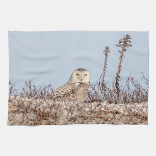 Snowy owl op het strand theedoek