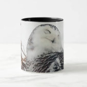 Snowy Owl op Mississippi Flyway Mok