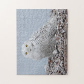 Snowy Owl op schelpen Legpuzzel (Verticaal)