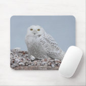 Snowy Owl op schelpen Muismat (Met muis)