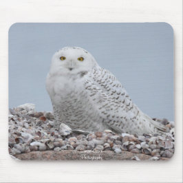 Snowy Owl op schelpen Muismat
