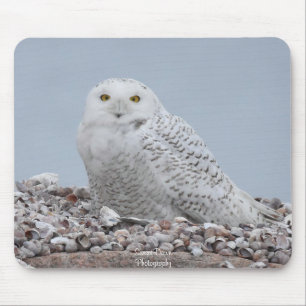 Snowy Owl op schelpen Muismat