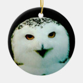 Snowy Owl Ornament (Voorkant)