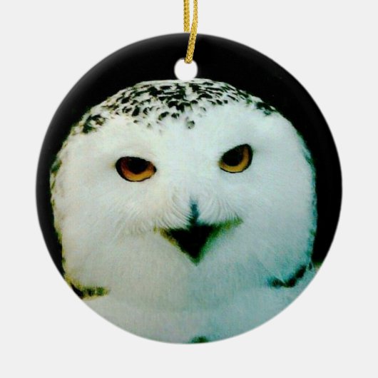 Snowy Owl Ornament (Voorkant)