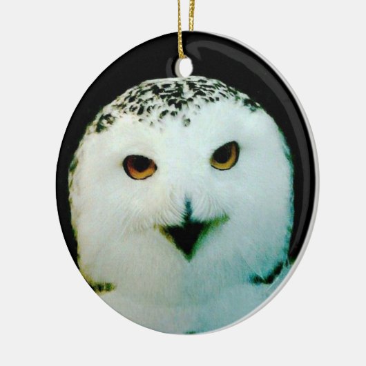 Snowy Owl Ornament (Links)