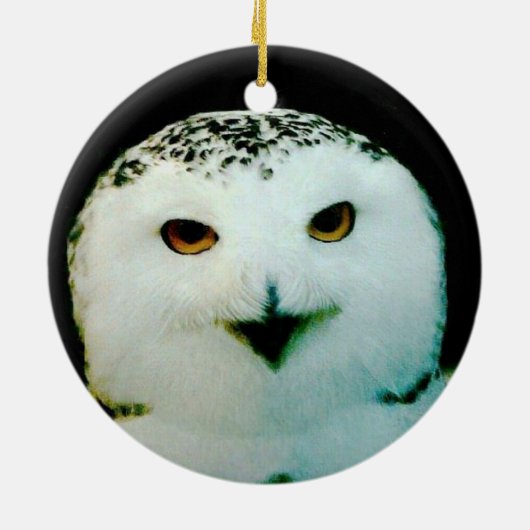 Snowy Owl Ornament (Achterkant)