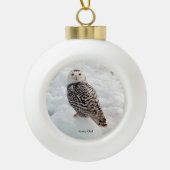 Snowy Owl ornament (Voorkant)