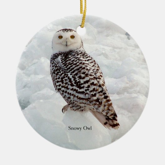 Snowy Owl ornament (Voorkant)