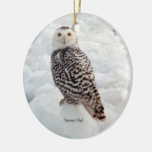 Snowy Owl ornament (Links)