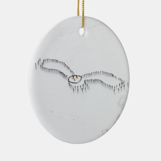 Snowy Owl ornament (Rechts)