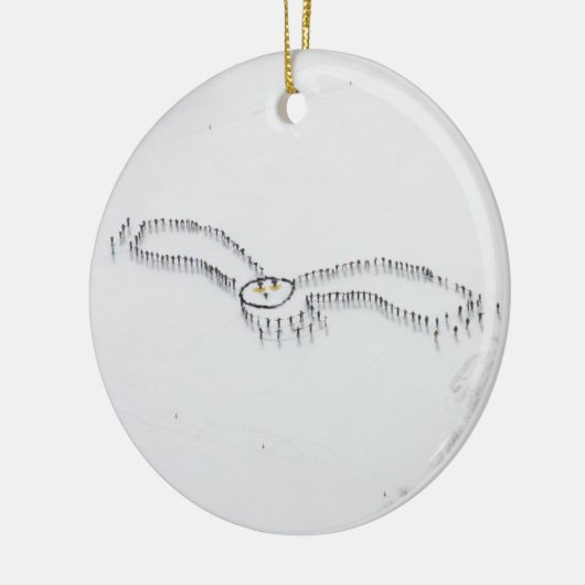 Snowy Owl ornament (Links)