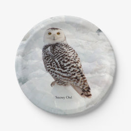 Snowy Owl paper bord