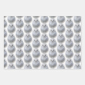 Snowy Owl / Peregrine Falcon / Golden Eagles Inpakpapier Vel (Voorkant)