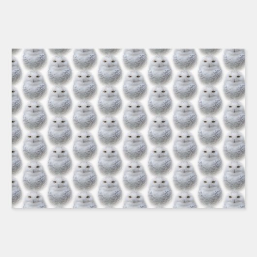 Snowy Owl / Peregrine Falcon / Golden Eagles Inpakpapier Vel (Voorkant)