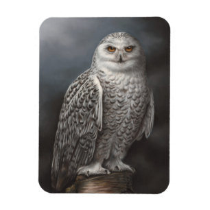 Snowy Owl Photo Magnet Magneet