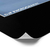 Snowy Owl Poster (Hoek)